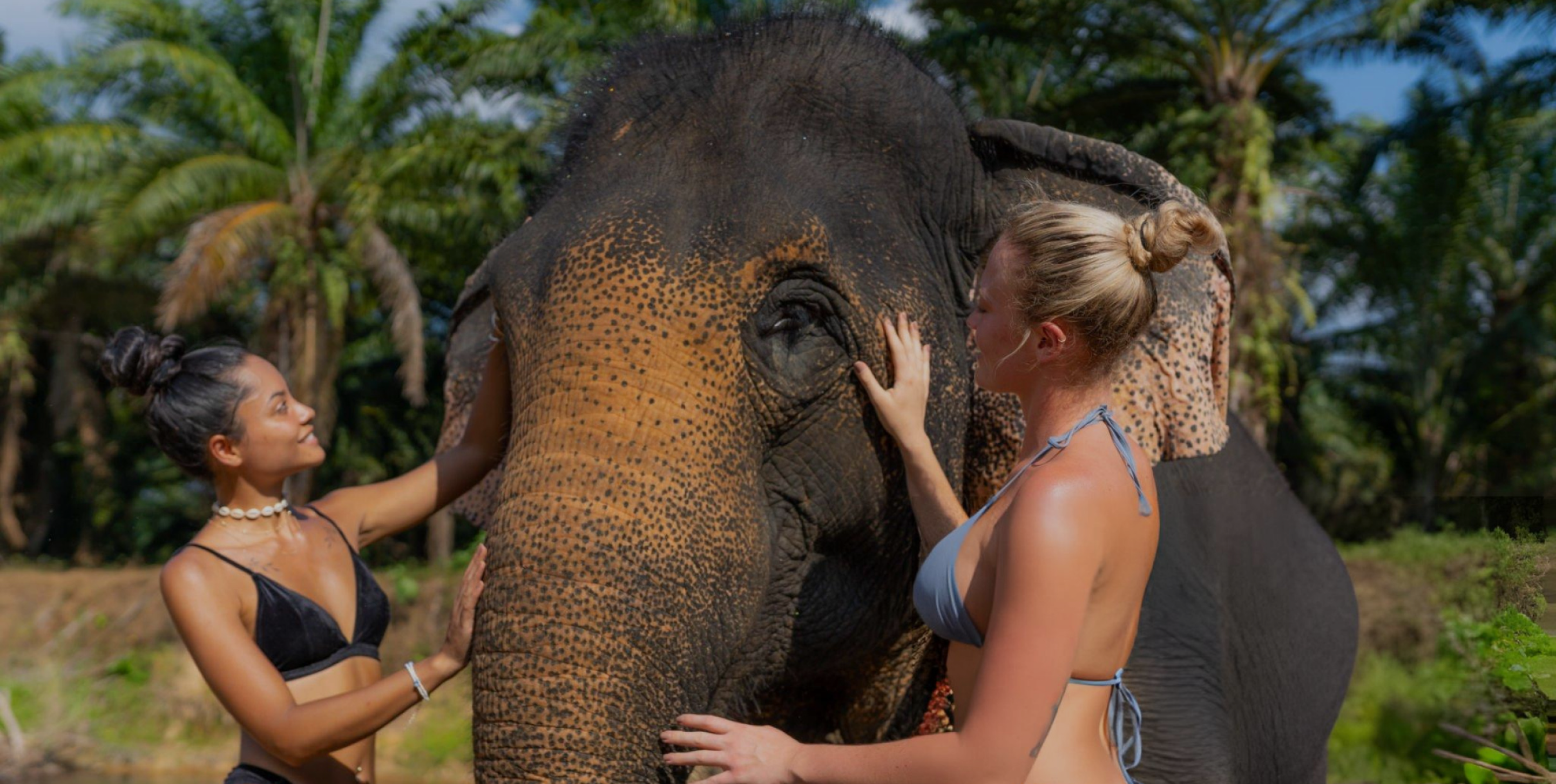 Phuket - Experience Elephant Bathing